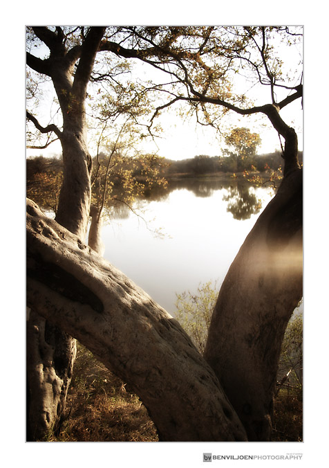 Ben Viljoen Photography (1) Pretoria wedding photographers (1)