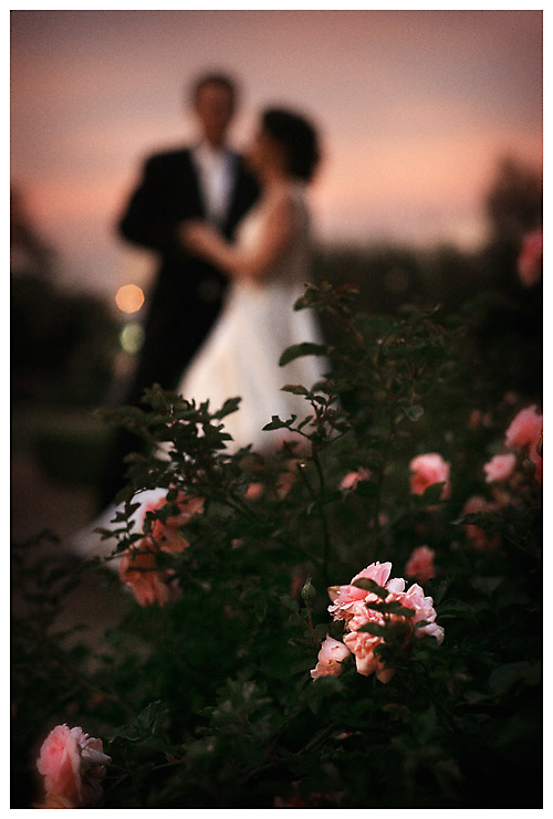 Ben Viljoen Photography, Johannesburg Wedding Photographers, South Africa Wedding Photographers