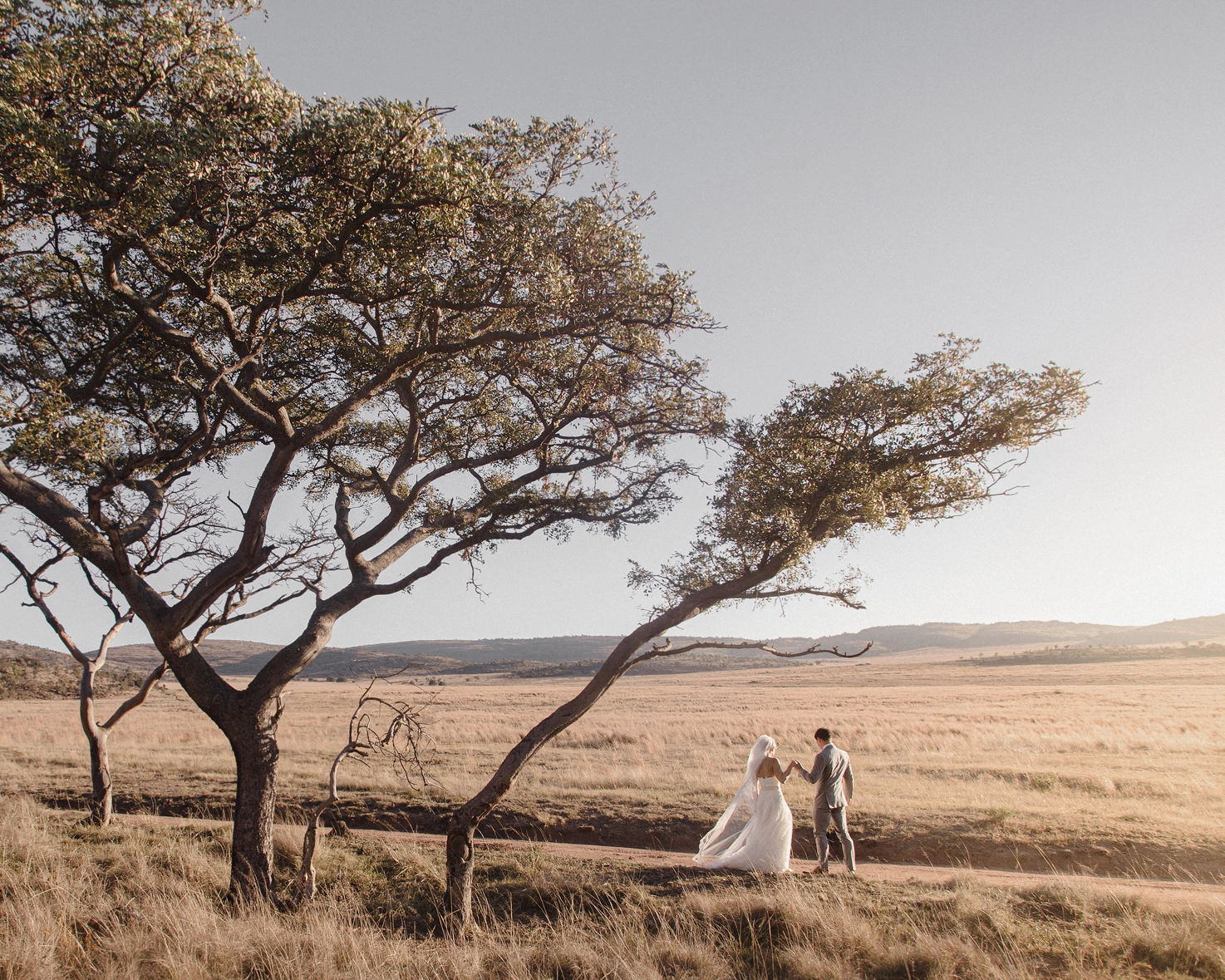 Safari bush wedding, South Africa — Ben Viljoen Photography