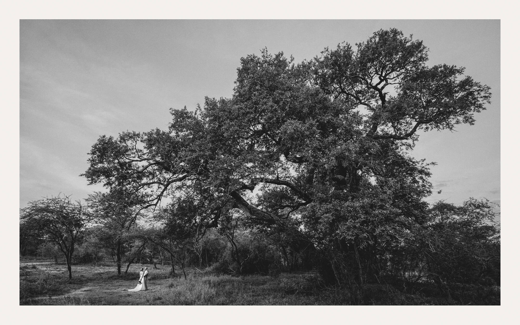 Documentary wedding photography portfolio — Ben Viljoen Photography