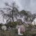 Wide colour landscape image of bride in front of a huge boulder and indigenous trees