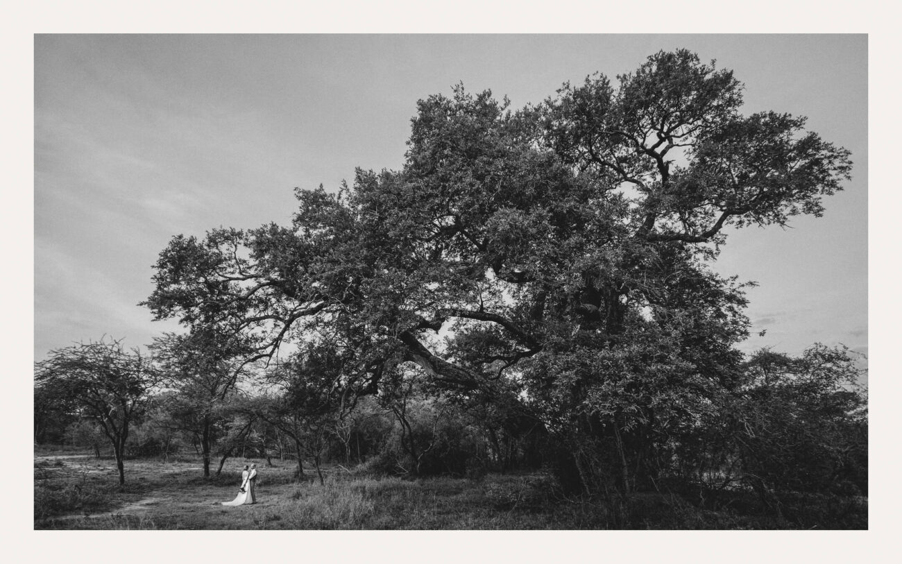 Megan Emmet Parker and husband under a giant Jackalberry tree. Khaya Ndlovu Safari Manor, Hoedspruit