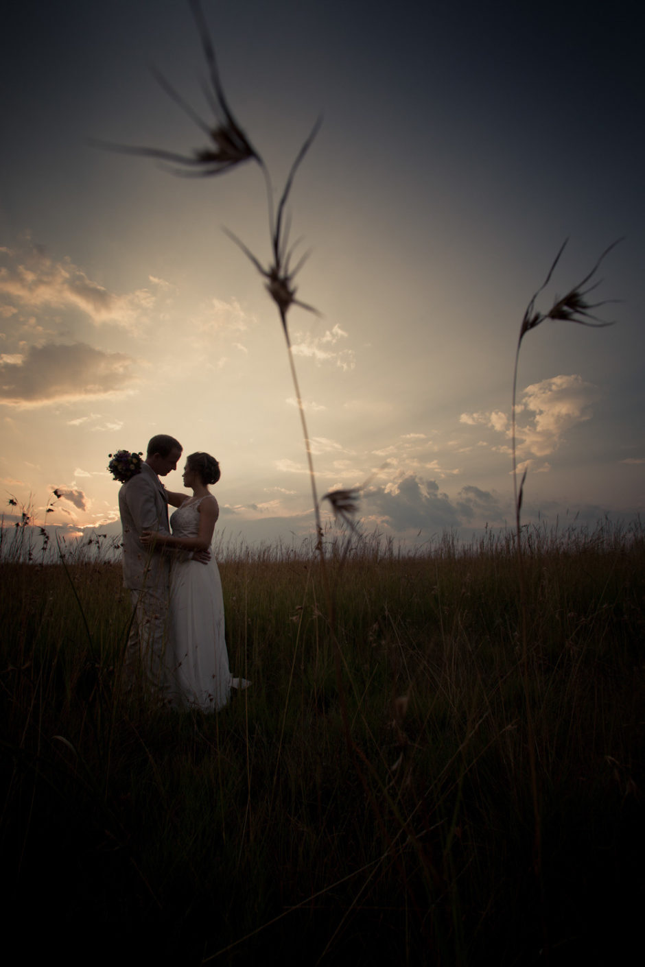 Bride and groom embracing in an open field near The Moon & Sixpence, surrounded by classic Highveld grasslands.