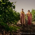 Franschhoek wedding photographer, Cape Town, South Africa (20)
