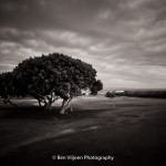 StilbaaiWeddingBenViljoen